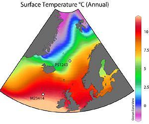 Warm Climate - Cold Arctic?