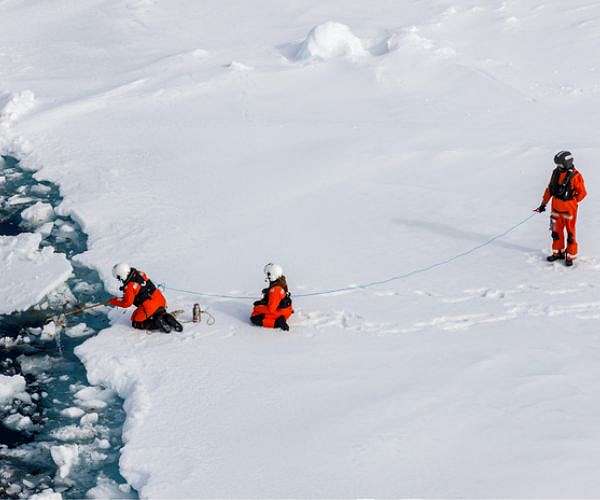 Arctic ice algae heavily contaminated with microplastics