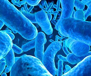With you in the room, bacteria counts spike