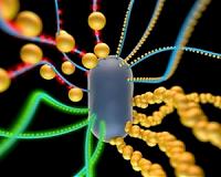 Introducing the multi-tasking nanoparticle