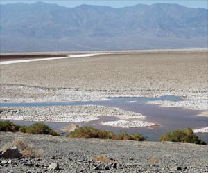 Badwater Basin: Death Valley Microbe Thrives There