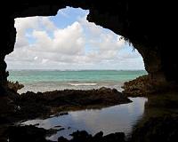 Fossils reveal humans were greater threat than climate change to Caribbean wildlife