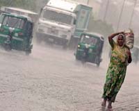 Rains offer hope for bird virus outbreak