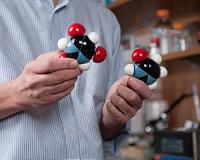 Missing links brewed in primordial puddles