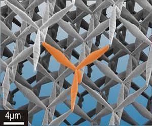 KIT Researchers Succeed in Realizing a New Material Class