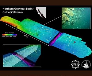 Novel Ocean-Crust Mechanism Could Affect Global Carbon Budget