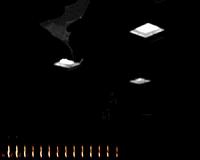 How a flying bat sees space