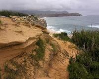 Sea-level rise accelerating, say scientists