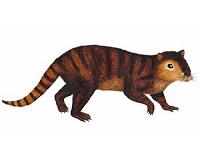 Prehistoric beavers paved the way for mammals in wake of dinos' departure