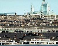 Industrial breakthrough in CO2 usage