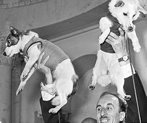 Working Like A Dog In Outer Space