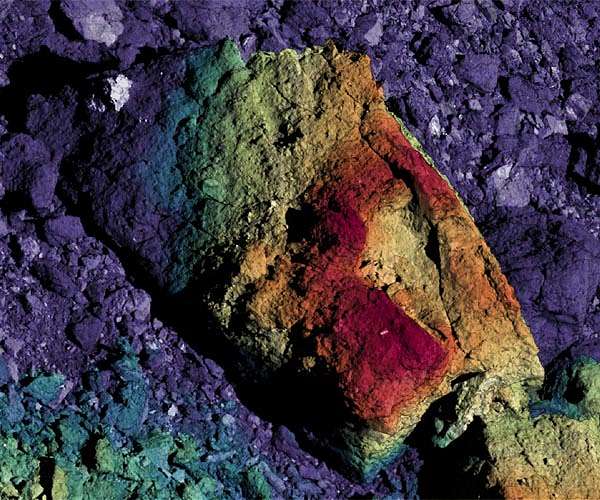 Life's building blocks in Bennu samples