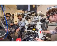 New results reveal high tunability of 2-D material