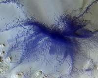 Martian Dust Could Help Explain Water Loss, Plus Other Learnings From Global Storm