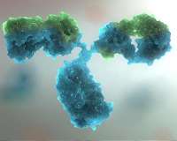 Scientists create better tools to study the processes of life
