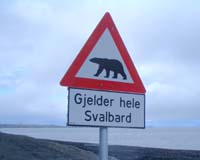 Arctic states gather to try to save polar bear from global warming
