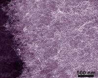 FEFU young scientists developed unique method to calculate transparent materials porosity