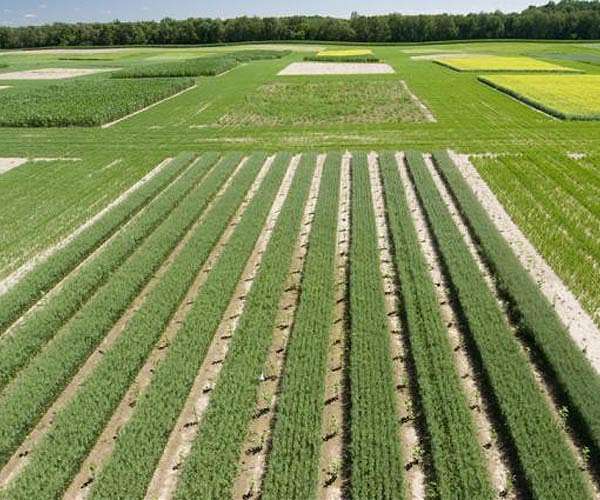 From Seed to Market: NASA Brings Food to the Table