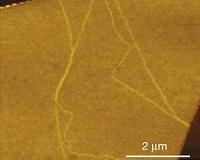 Channeling valleytronics in graphene