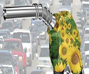 Genes That Promise To Make Biofuel Production More Efficient, Economical