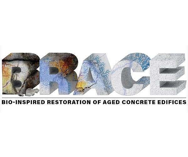 DARPA gives new life to old concrete structures through vascularization