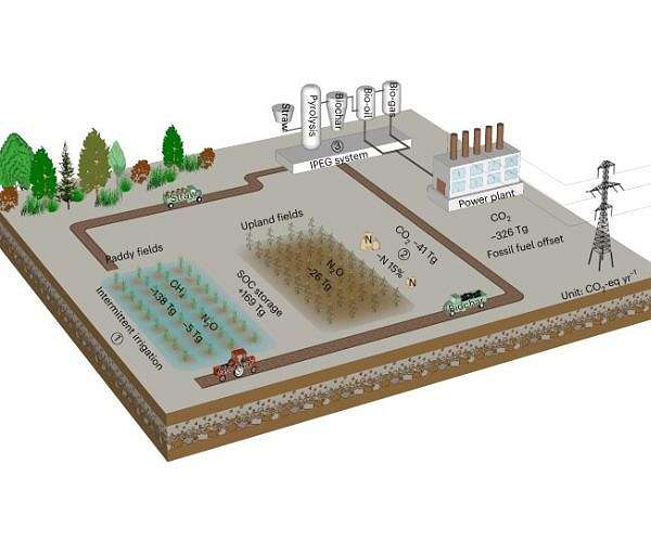 Biochar and energy from pyrolysis pave way for carbon-neutral agriculture in China