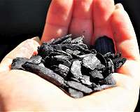 Carbon coating gives biochar its garden-greening power