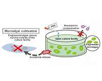 New biocontainment strategy controls spread of escaped GMOs