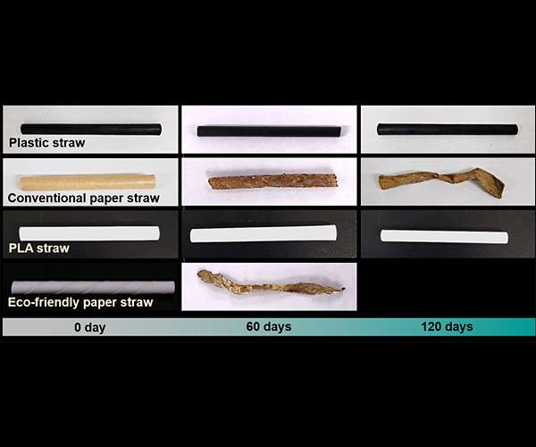 Development of 100% biodegradable paper straws that do not become soggy