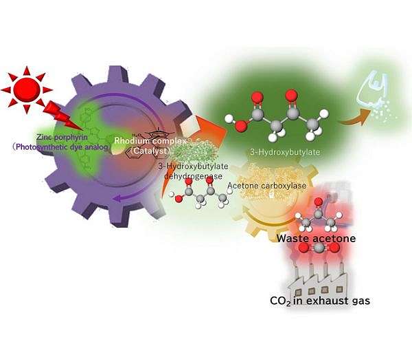 Low concentration CO2 can be reused as plastic precursor using artificial photosynthesis