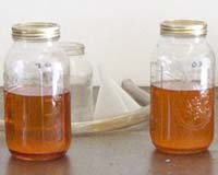 Direct Fuels To Produce Biodiesel At North Texas Facility