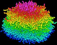 Researchers develop microbubble scrubber to destroy dangerous biofilms