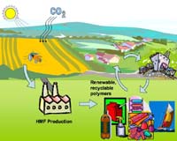 Internal EU report casts doubts on its biofuel strategy