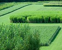 U.S. funding projects meant to make biofuels competitive