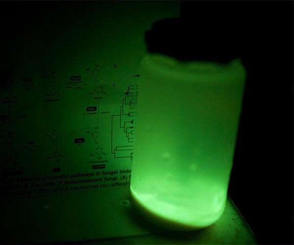 New synthetic route for biofuel production