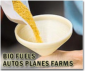European Parliament backs switch in biofuels
