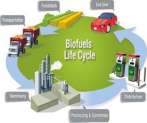 EU announces biofuel guidelines