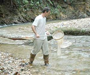 Surprise Surprise Evolution Impacts Environment