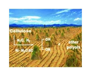 New Microbial Genetic System Dissects Biomass To Biofuel Conversion