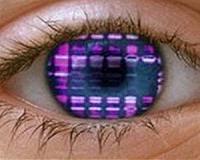 Northrop Grumman to enhance, maintain British biometric system