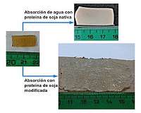 A bioplastic derived from soy protein which can absorb up to 40 times its own weight