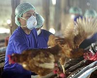 Boy becomes Cambodia's first bird flu death of year