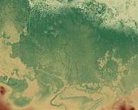 Space key to wetland conservation
