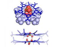 Scientists discover supramolecule could help reduce nuclear waste