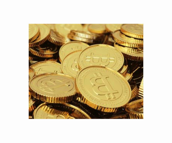 Elon Musk wants US regulators to let cryptocurrency 'fly'