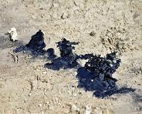 Suncor makes bid for Canadian Oil Sands Ltd.