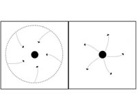 Can we see a singularity, the most extreme object in the universe?