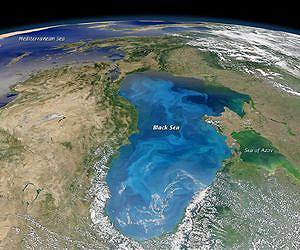 Carbon Eaters on the Black Sea