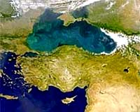 Study Predicts Grim Future For European Seas