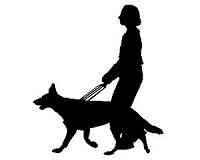 Tech tethers dog lovers remotely to their pets